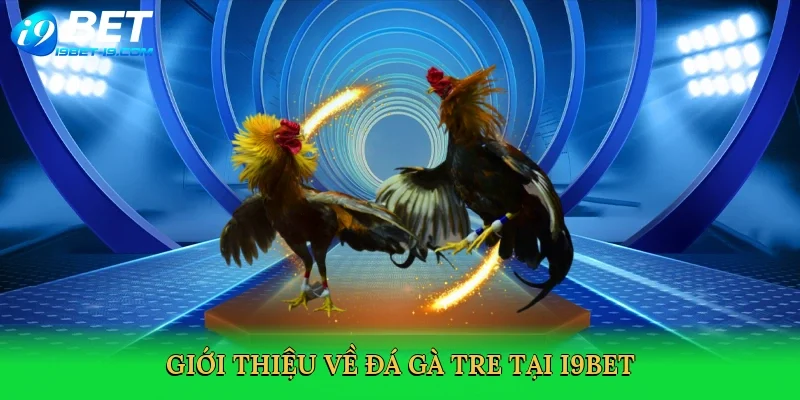 Giới thiệu về Đá gà tre tại i9bet
