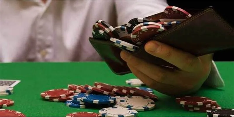 Lý do nên chọn lựa 69VN trong năm nay