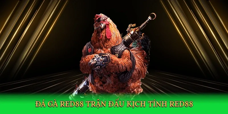 Đá gà Red88 trận đấu kịch tính Red88
